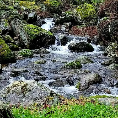 아파트 Havre De Paix Au Coeur De La Montagne Corse *