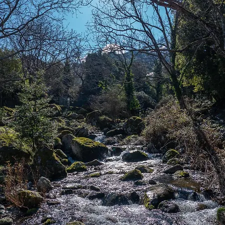 Havre De Paix Au Coeur De La Montagne Corse *