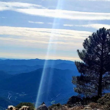 아파트 Havre De Paix Au Coeur De La Montagne Corse Santo-Pietro-di-Venaco