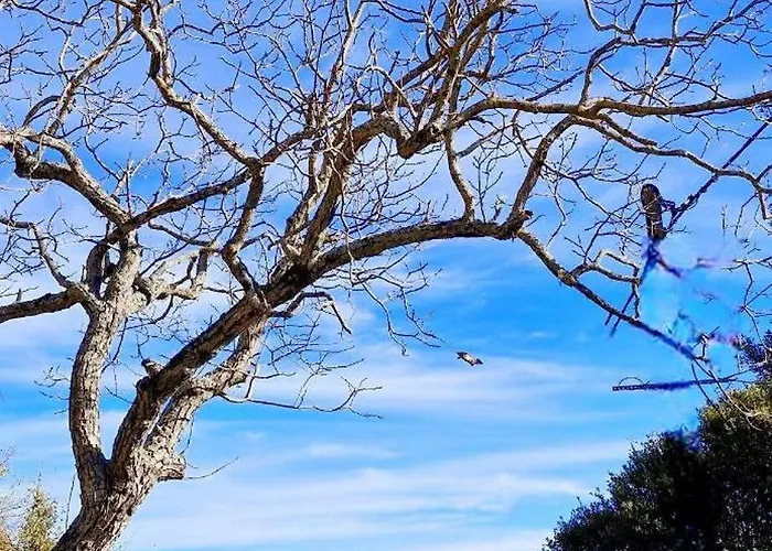 Appartement Havre De Paix Au Cœur De La Montagne Corse *