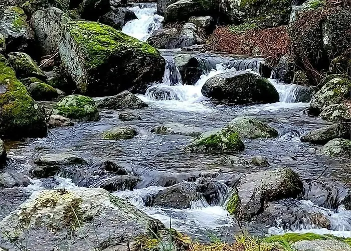 Appartement Havre De Paix Au Cœur De La Montagne Corse *