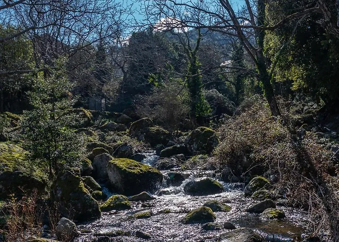 Havre De Paix Au Cœur De La Montagne Corse *