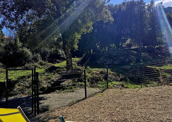 Appartement Havre De Paix Au Cœur De La Montagne Corse Santo-Pietro-di-Venaco