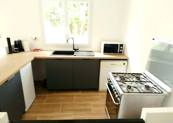 Havre De Paix Au Cœur De La Montagne Corse Appartement